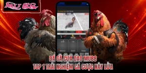 Đá Gà Cựa Dao MU88 - Top 1 Trải Nghiệm Cá Cược Nảy Lửa